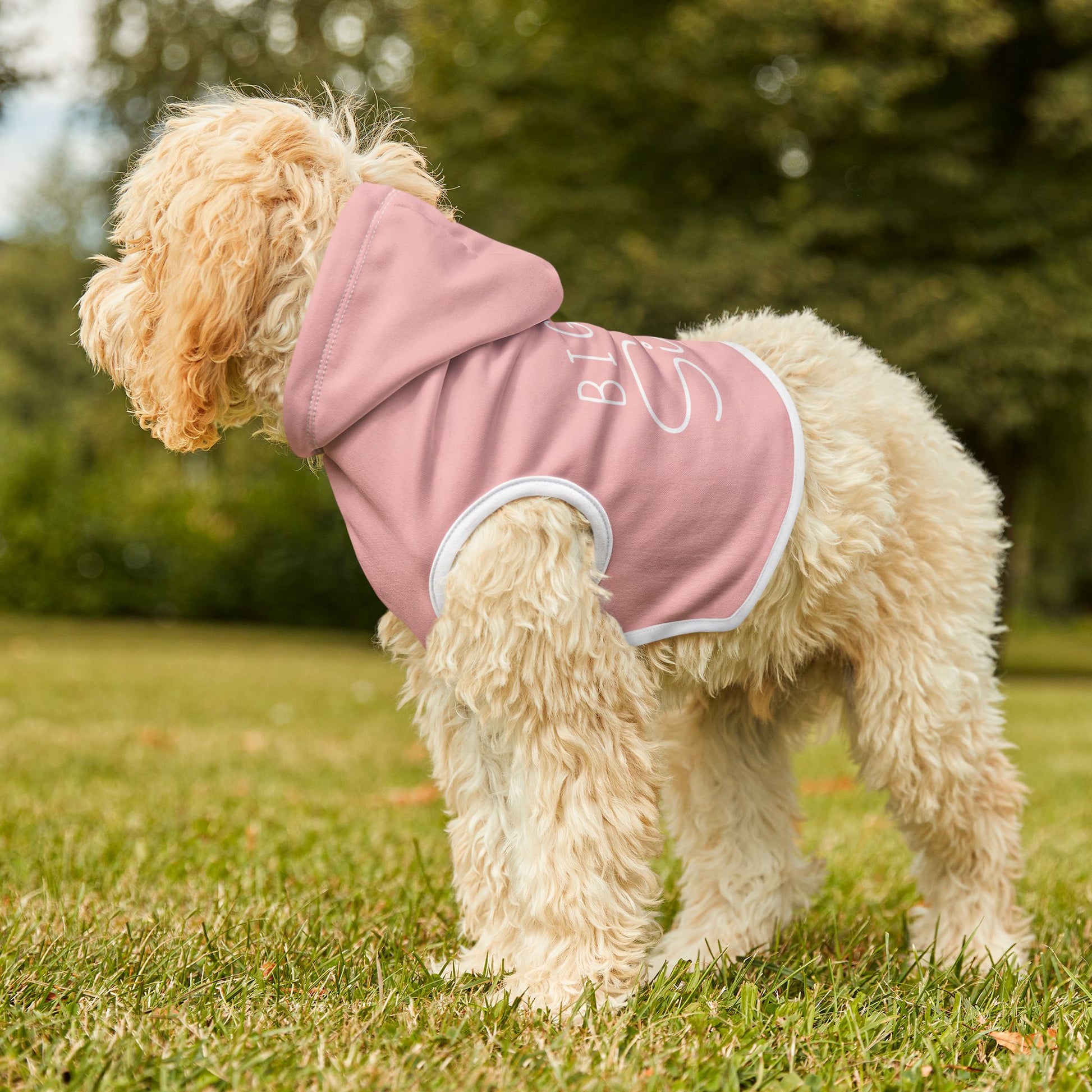 Sleeveless Pet Hoodies | BIG SISTER
