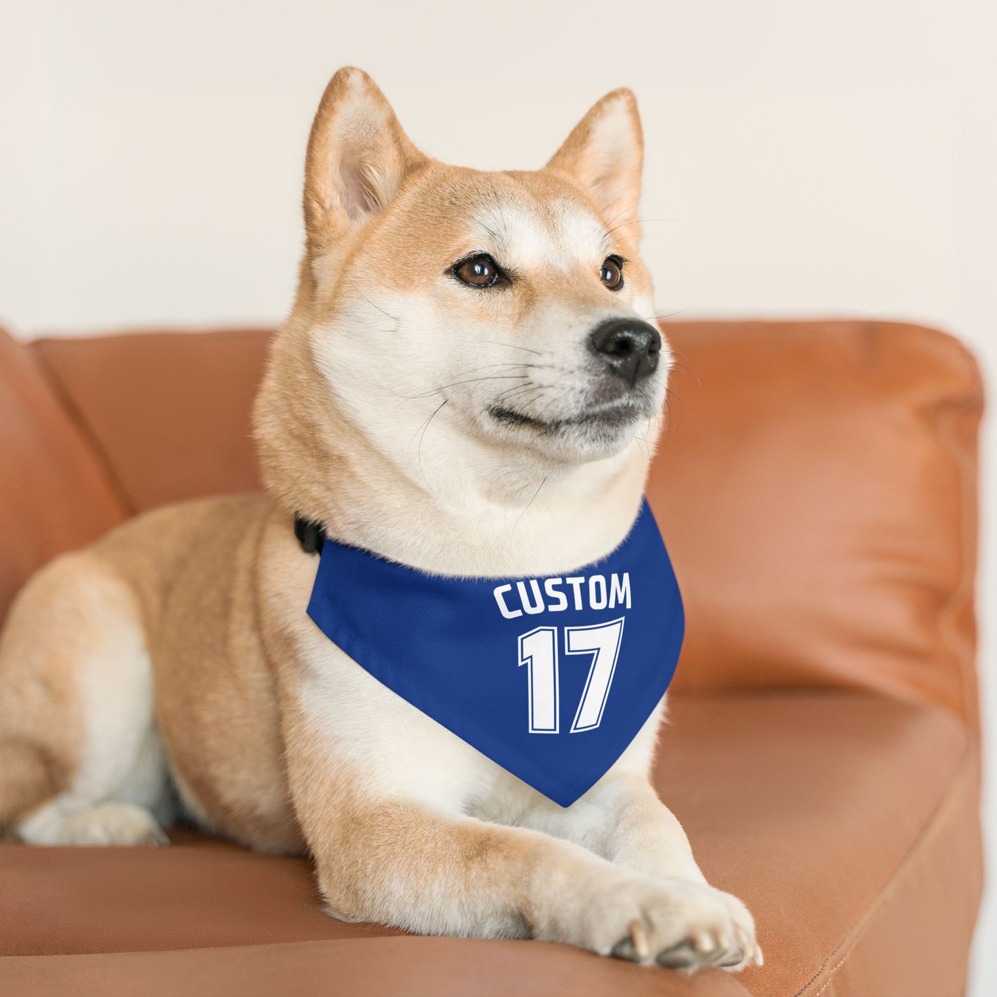 Pet Clip-On Collar with Bandana | CUSTOM 17
