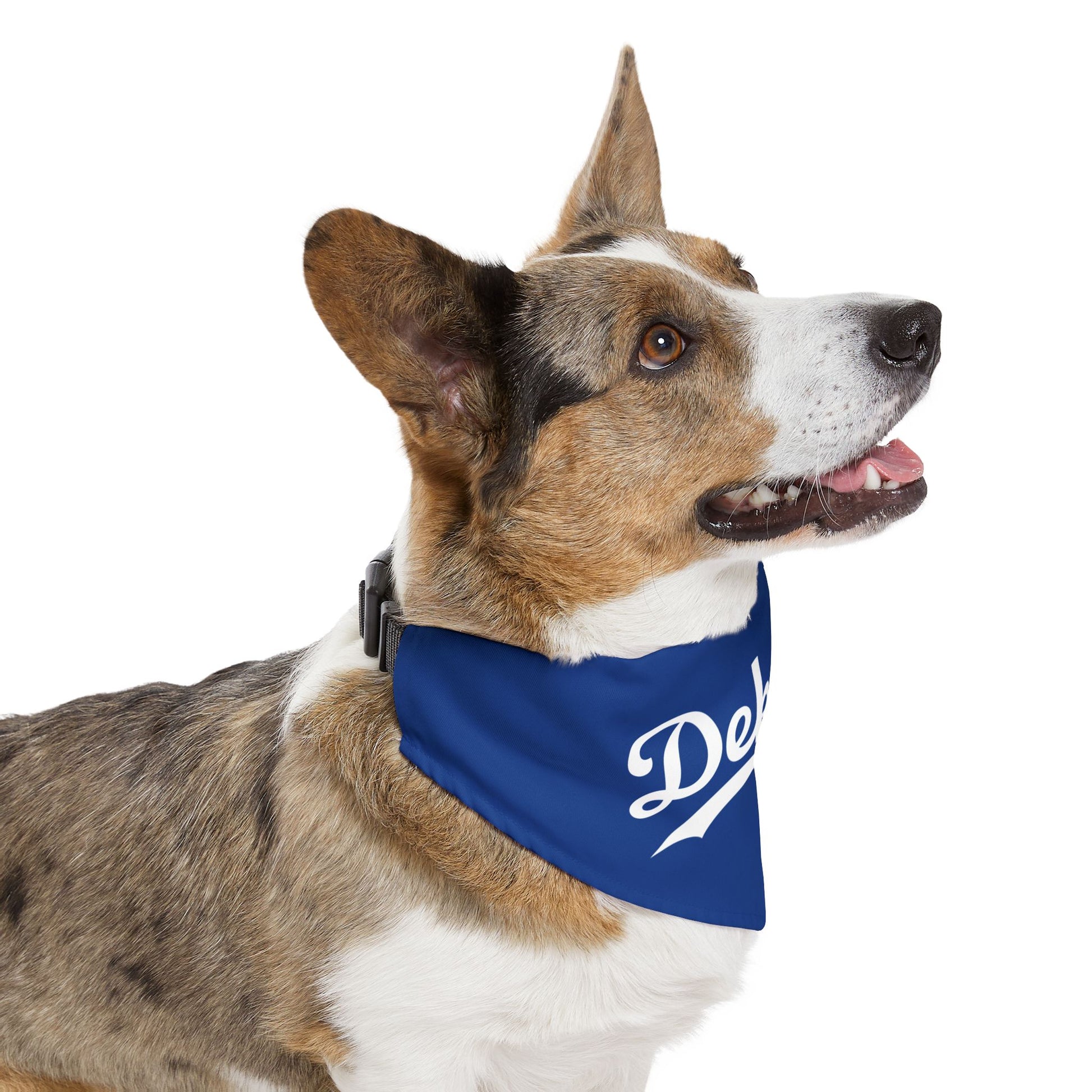 Pet Clip-On Collar with Bandana | DEKOPIN