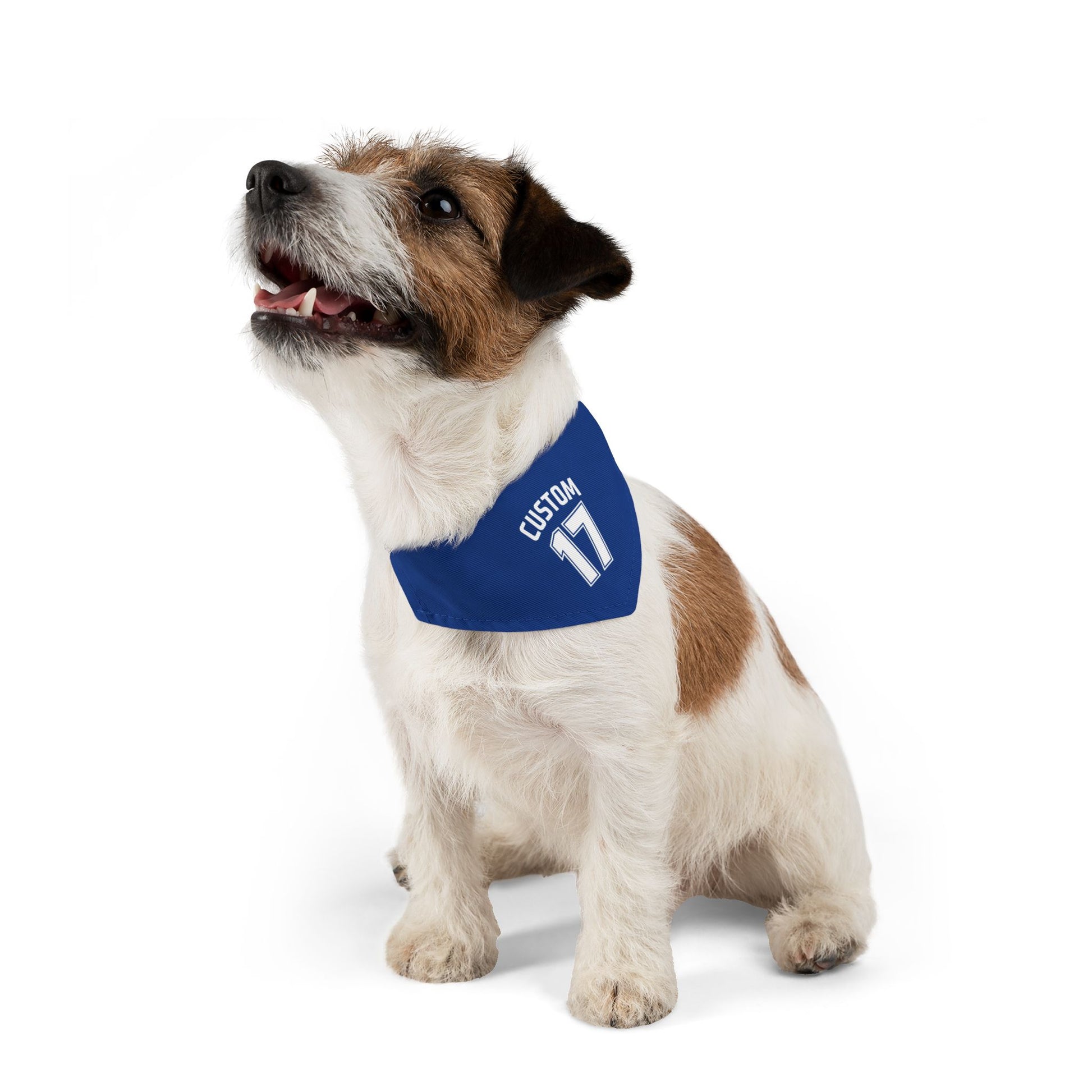 Pet Clip-On Collar with Bandana | CUSTOM 17