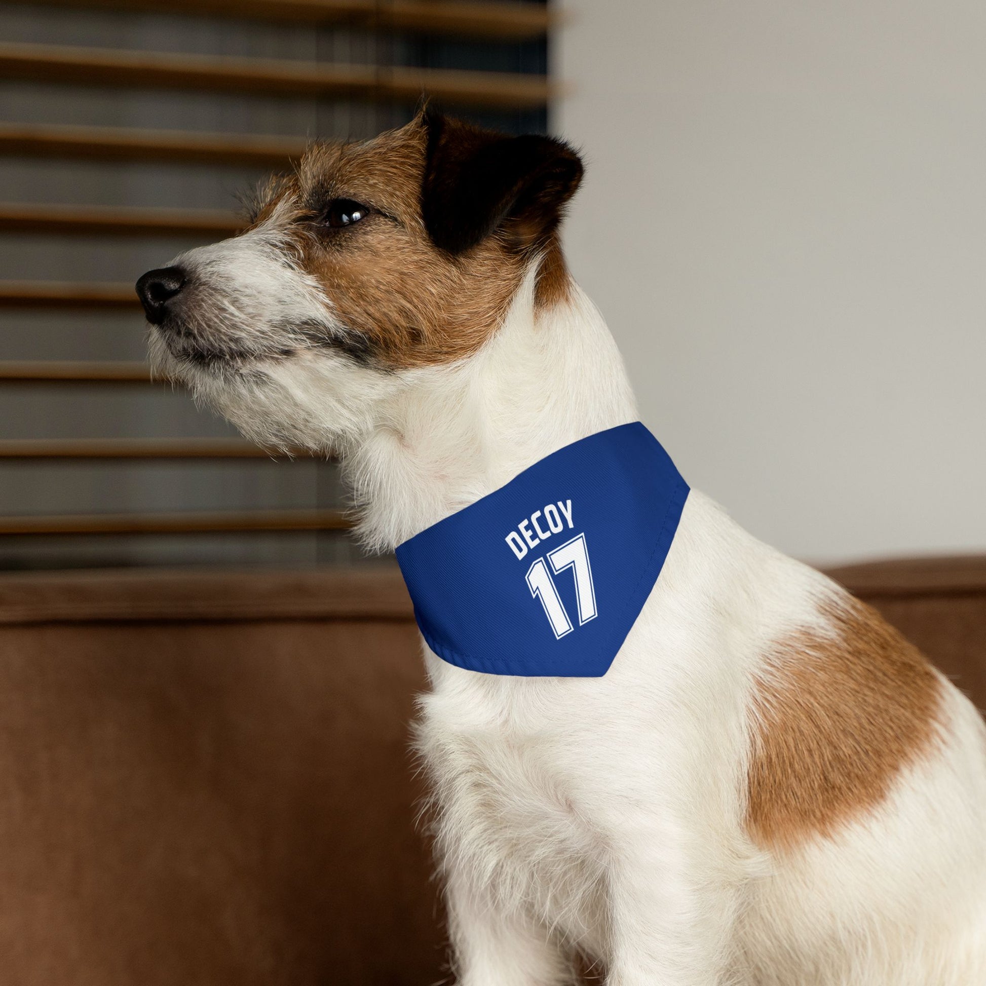 Pet Clip-On Collar with Bandana | DECOY 17
