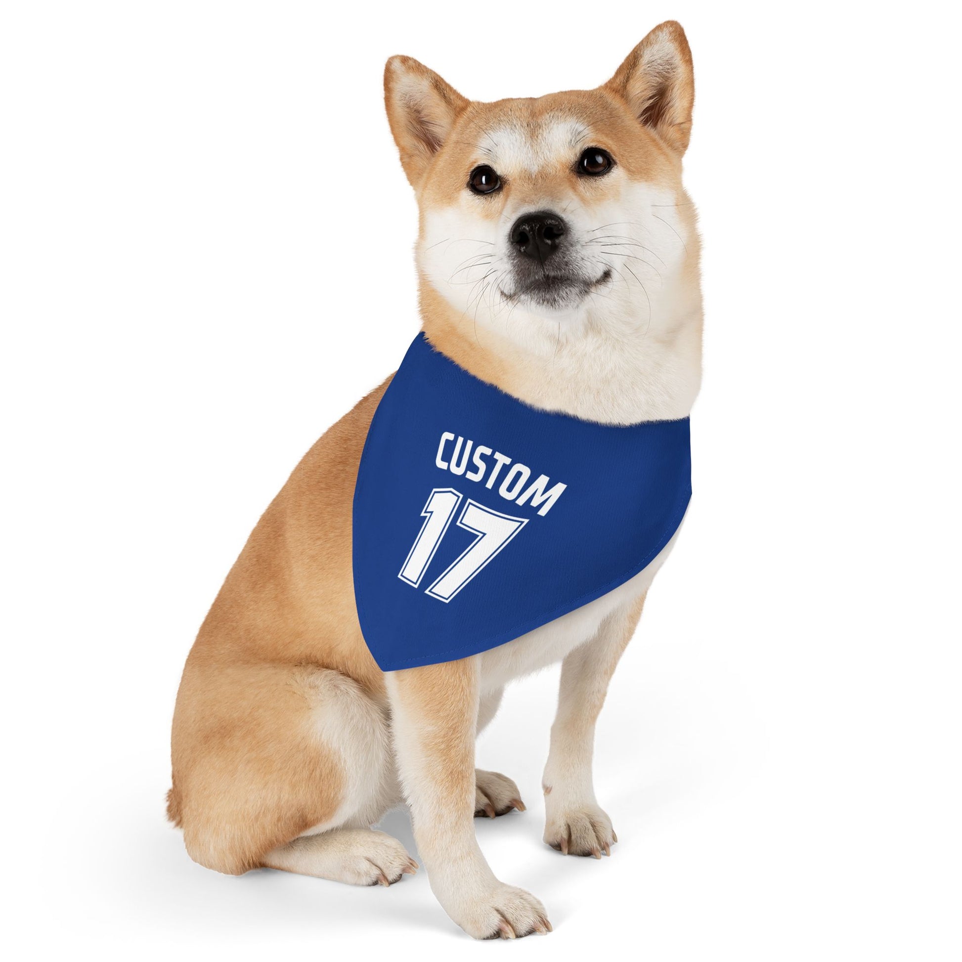 Pet Clip-On Collar with Bandana | CUSTOM 17