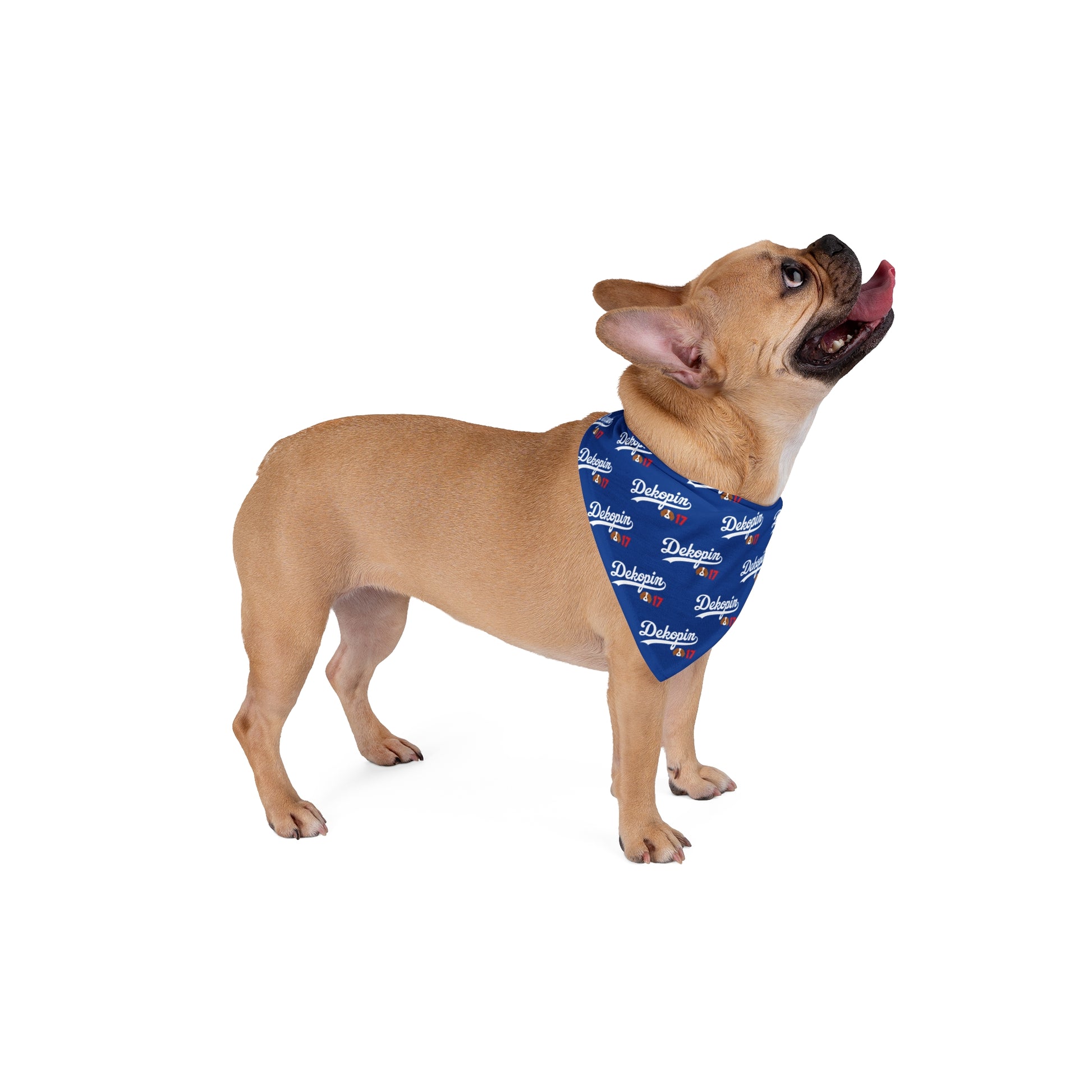 Pet Bandana | DEKOPIN