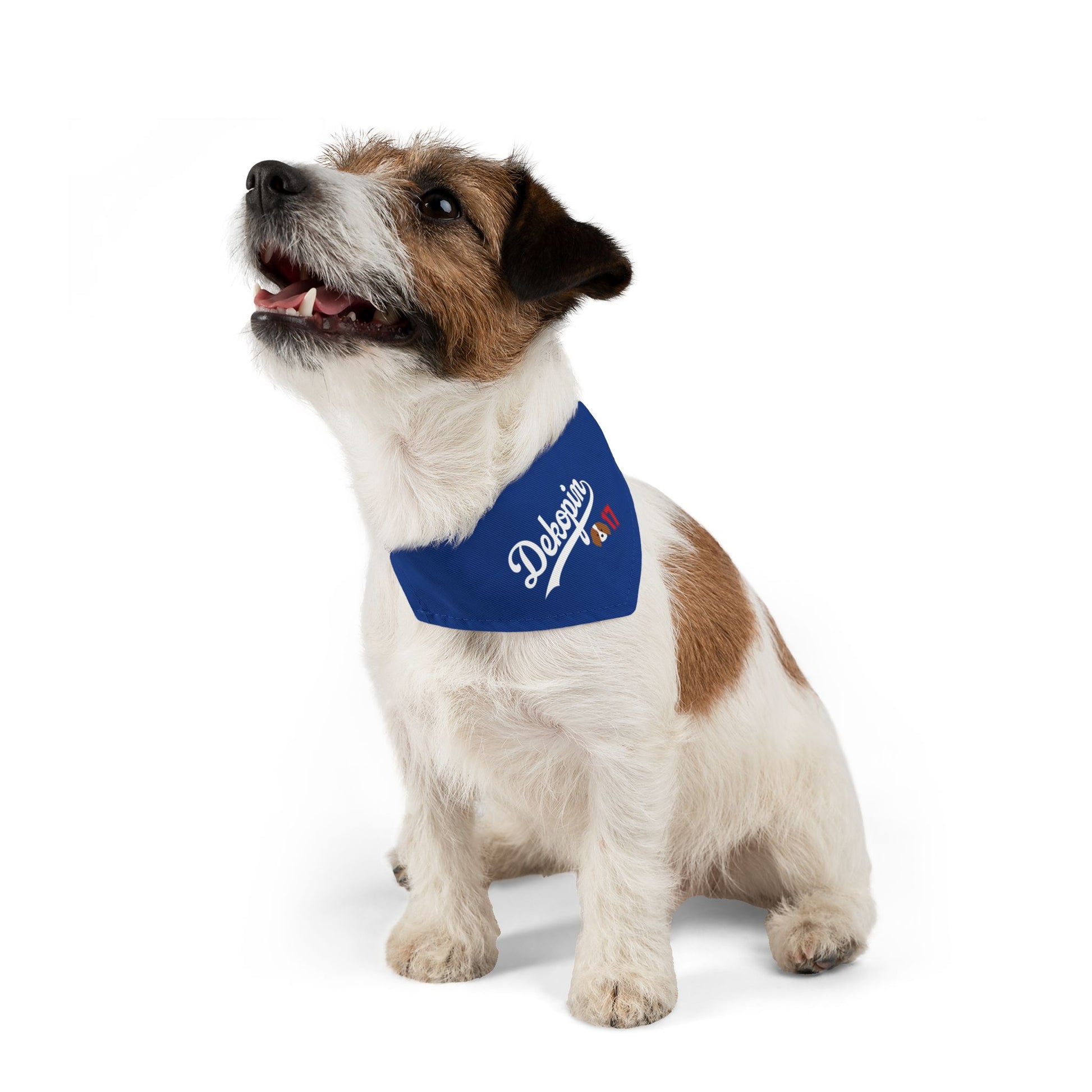 Pet Clip-On Collar with Bandana | DEKOPIN