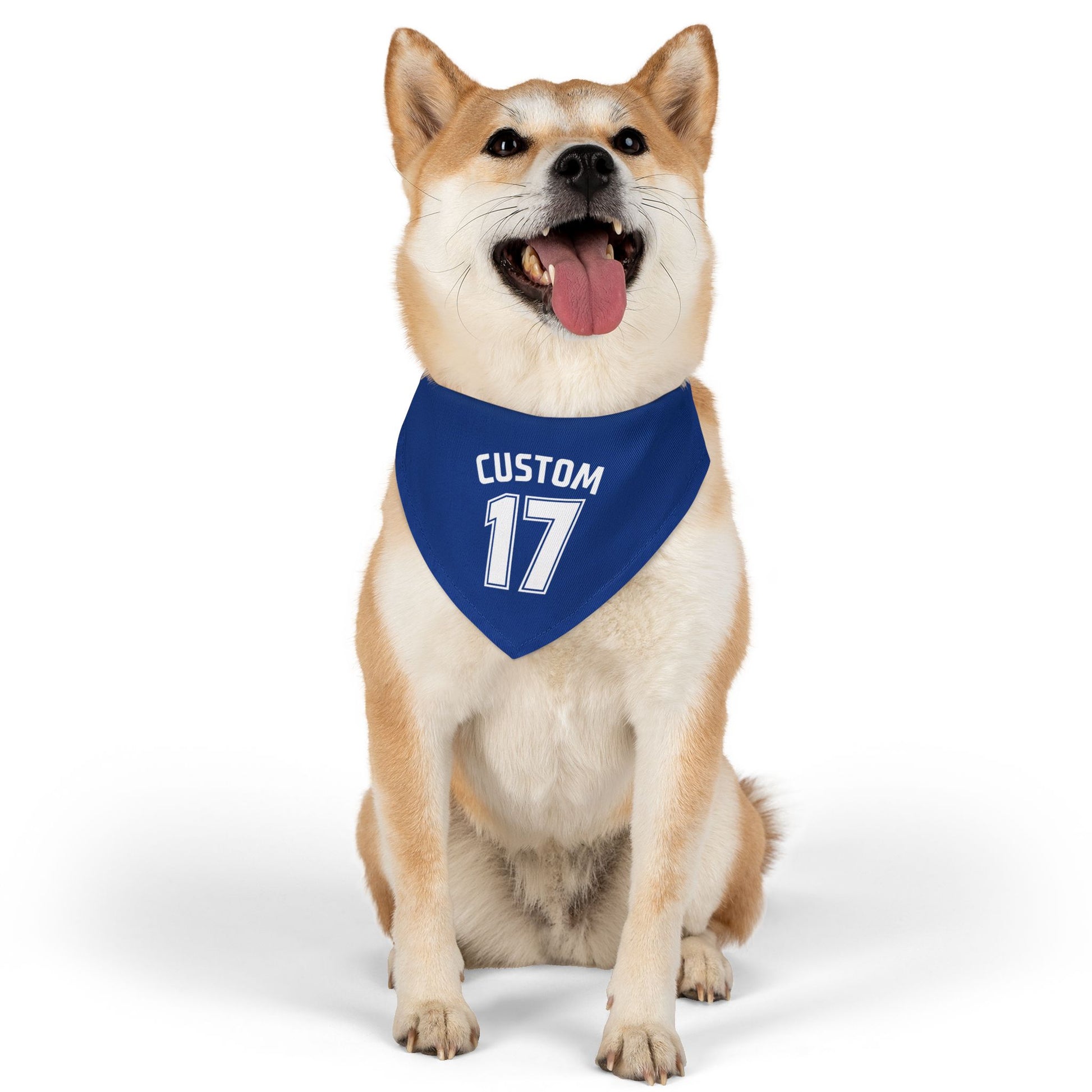 Pet Clip-On Collar with Bandana | CUSTOM 17