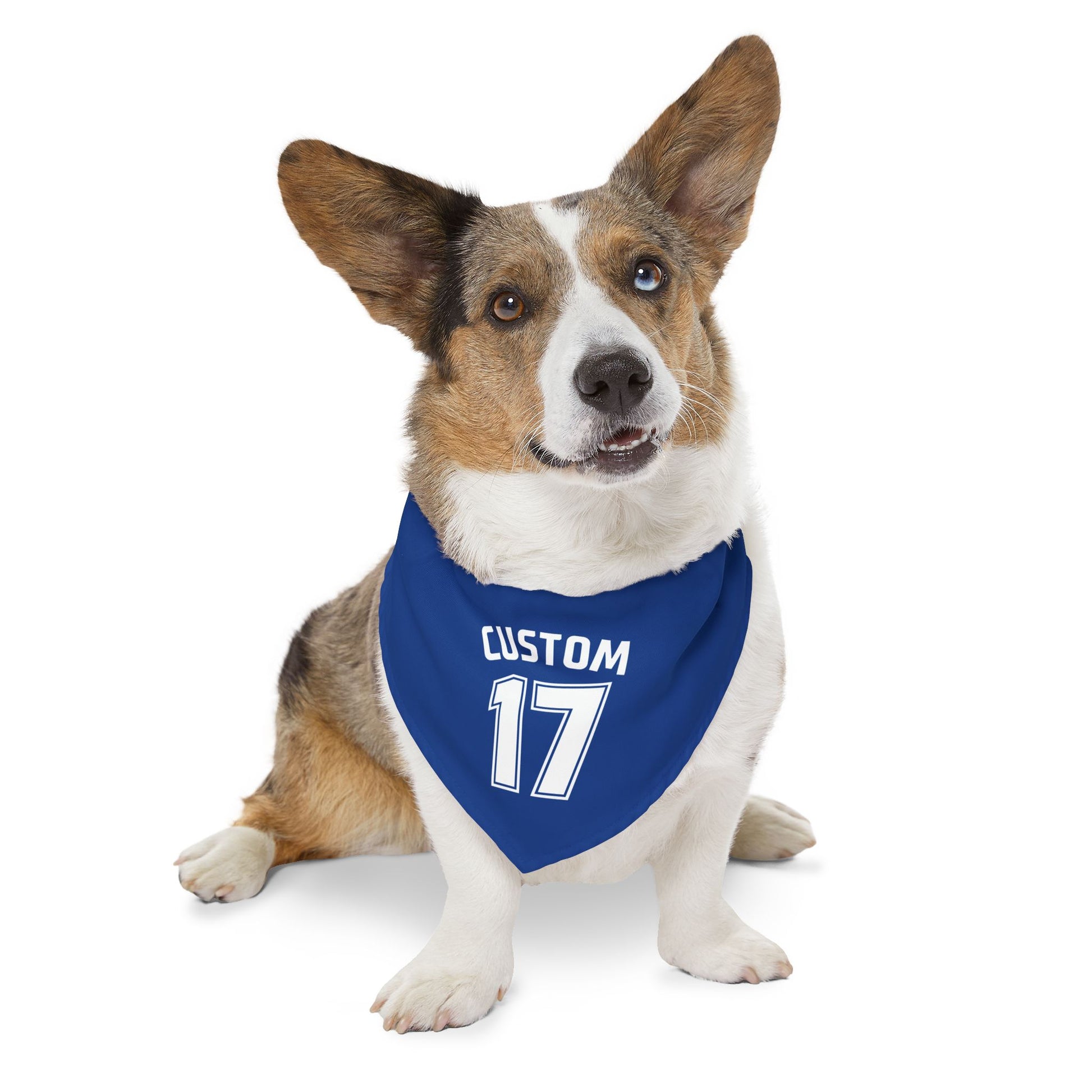 Pet Clip-On Collar with Bandana | CUSTOM 17