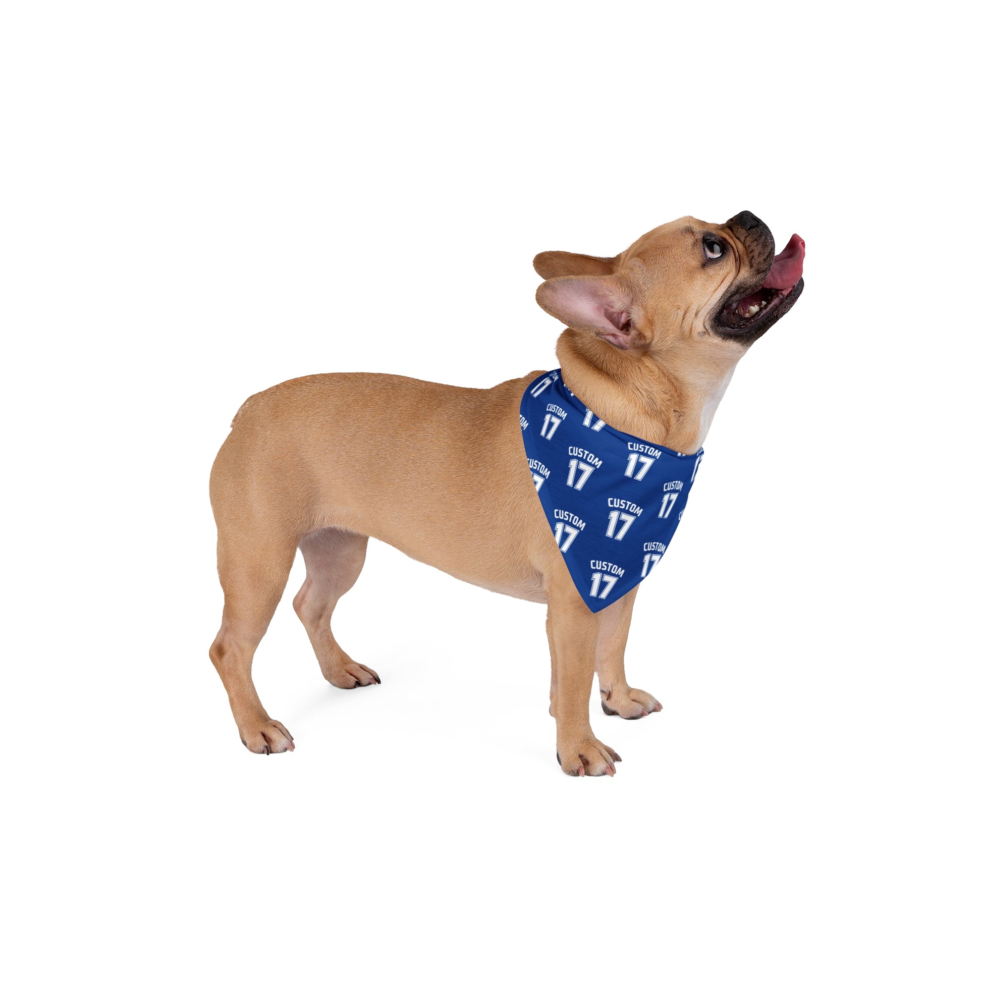Pet Bandana | CUSTOM 17