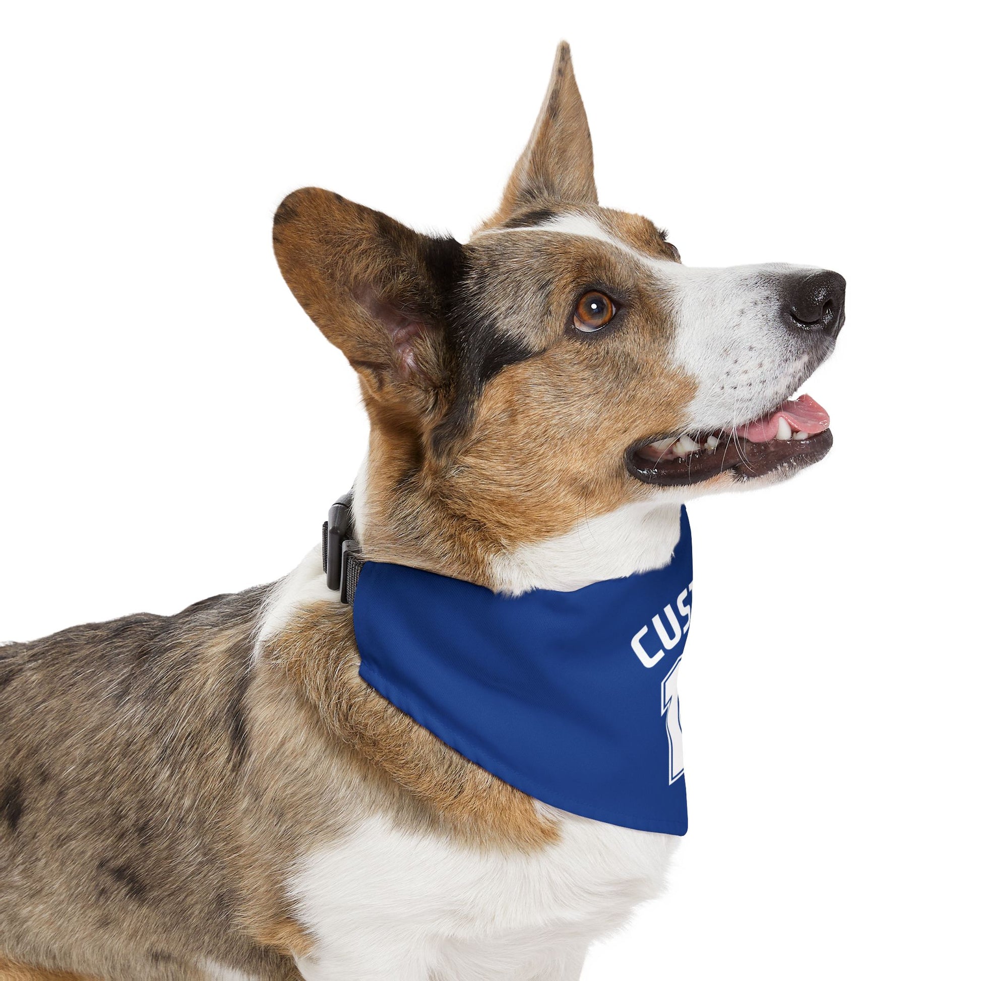 Pet Clip-On Collar with Bandana | CUSTOM 17