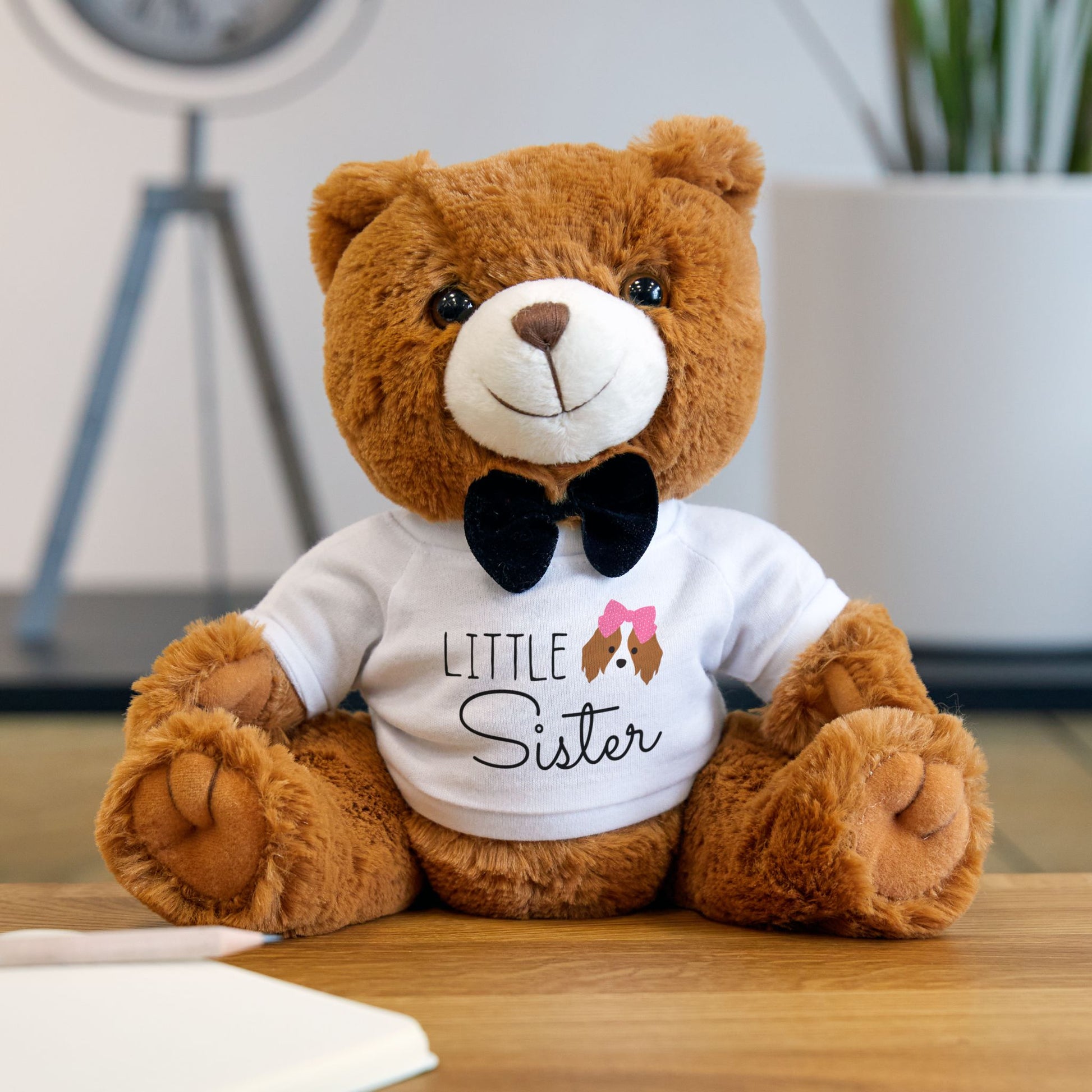 Teddy Bear with T-Shirt | LITTLE SISTER