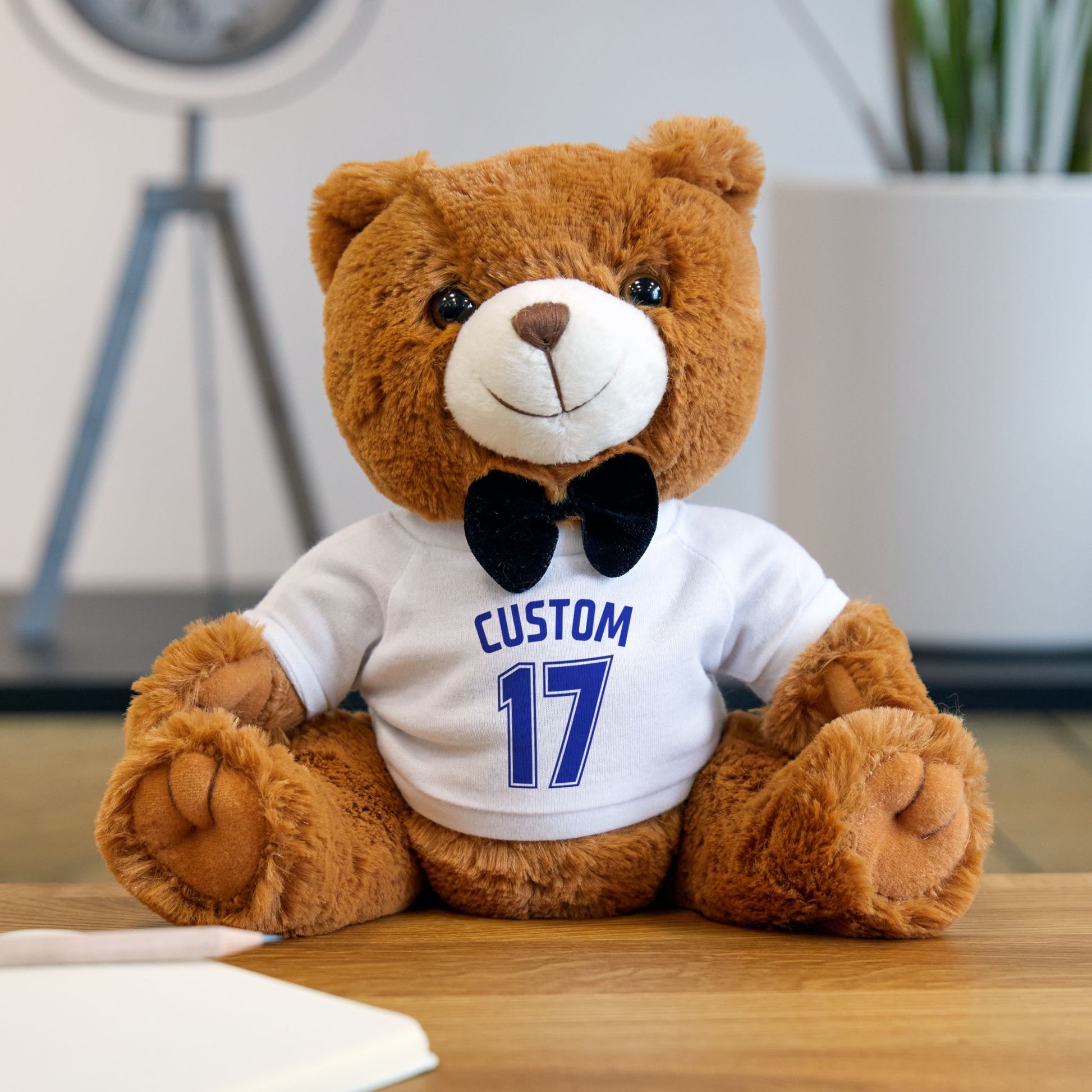 Teddy Bear with T-shirts | CUSTOM 17